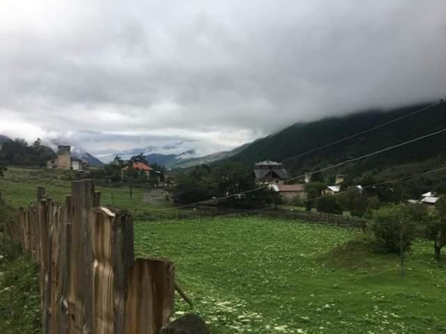 Гостевой дом ``Avalianebi`` Местиа