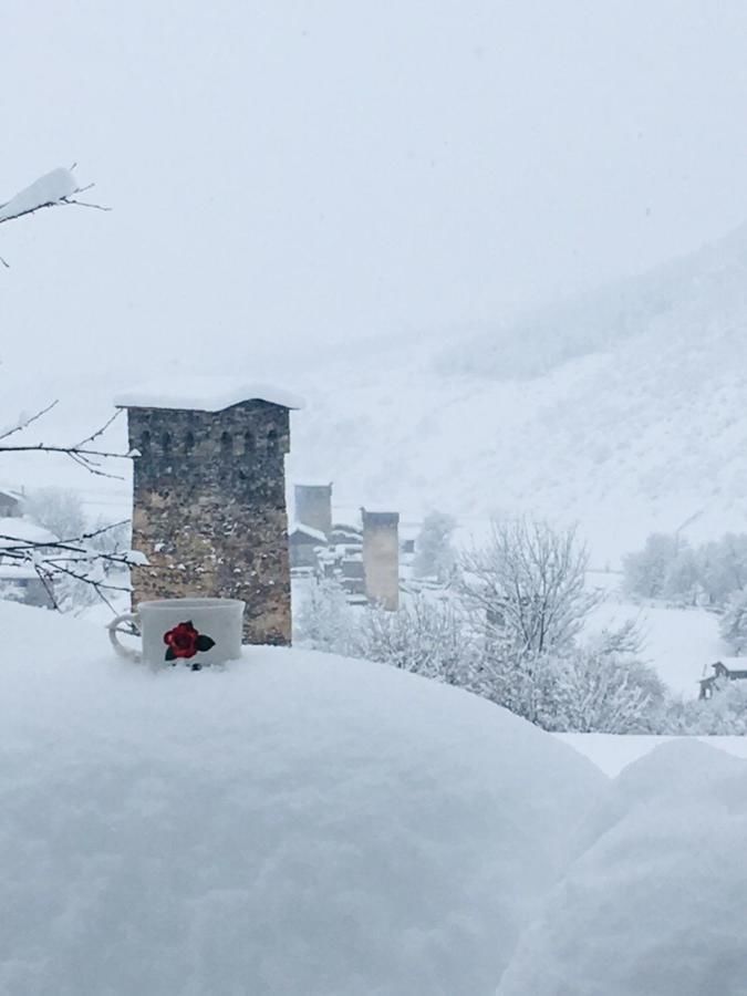 Гостевой дом ``Avalianebi`` Местиа