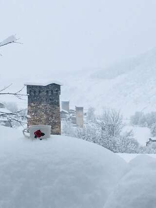 Гостевой дом ``Avalianebi`` Местиа-1